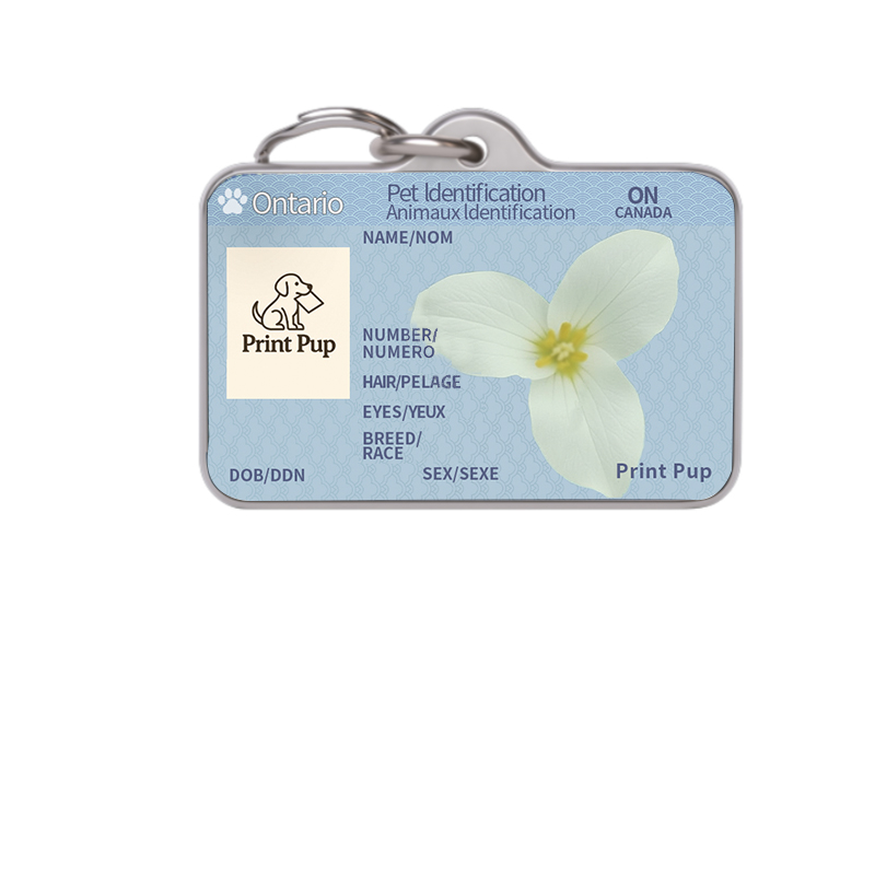 Ontario Driver’s License Pet ID Tag