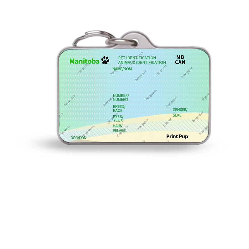 Manitoba Driver’s License Pet ID Tag