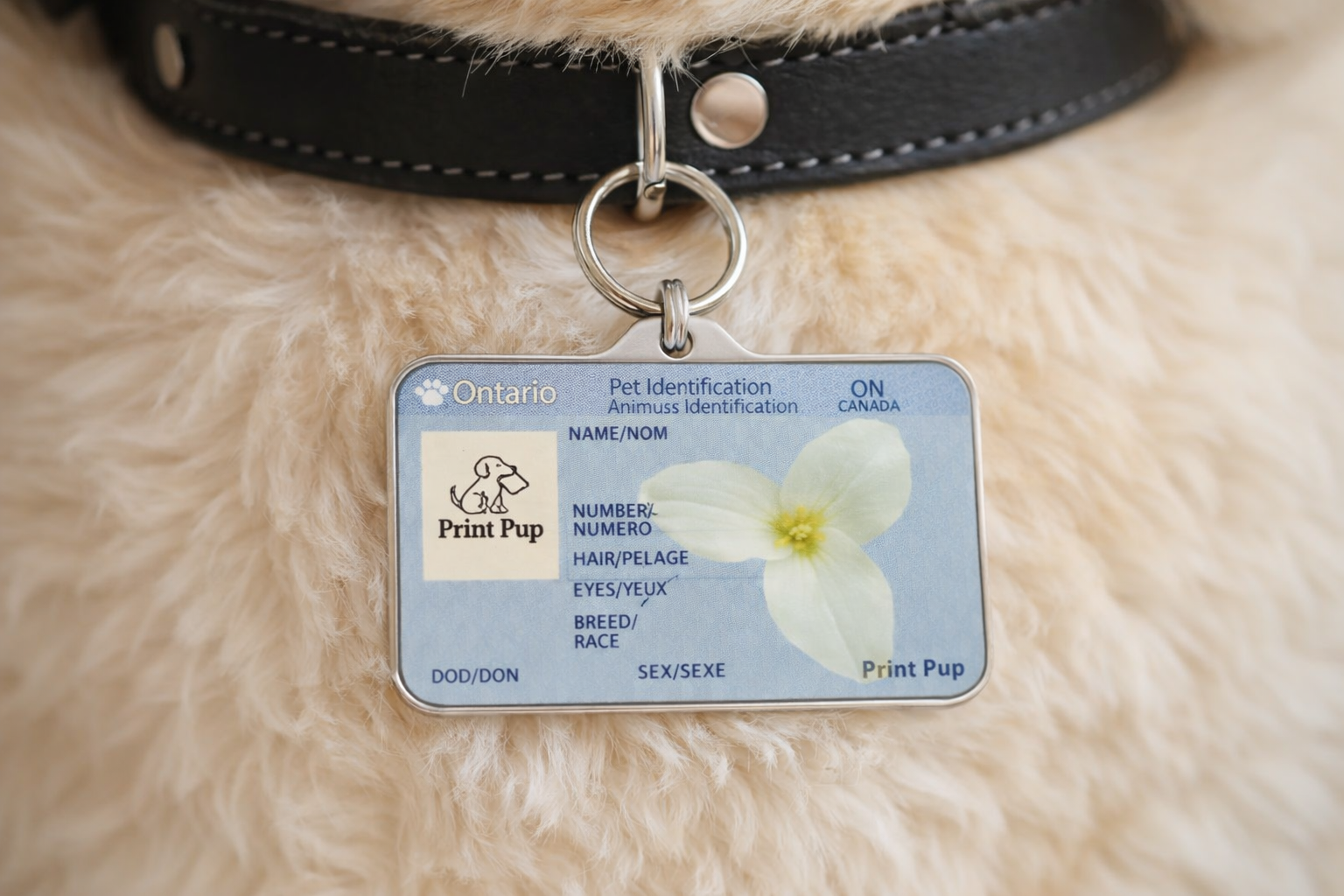 Ontario Driver’s License Pet ID Tag