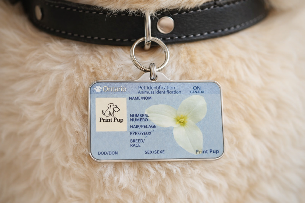 Ontario Driver’s License Pet ID Tag